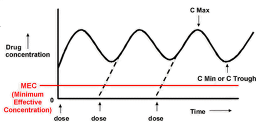 Cmin/Ctrough in steady-state concentration-time curve Cmin/Ctrough in steady-state concentration-time curve